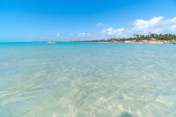 View from the middle of the sea at Moses Path to the Barra Grande beach of Maragogi, AL, Brazil. Paradise beach with clear sea water on a blue sky day. Tourist destination of the brazilian coast.