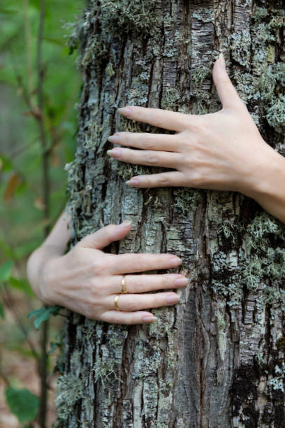 istock Woman hugging a tree in the forest 1387139496