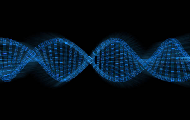 vista ravvicinata sulle molecole di dna a spirale - dna helix helix model evolution foto e immagini stock