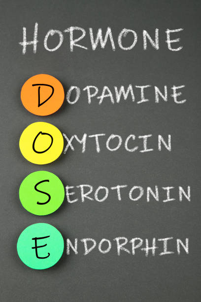 istock Endorphin,Serotonin,Dopamine, Oxytocin 1387149363
