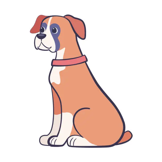 Vector illustration of Isolated cute boxer dog breed cartoon Vector