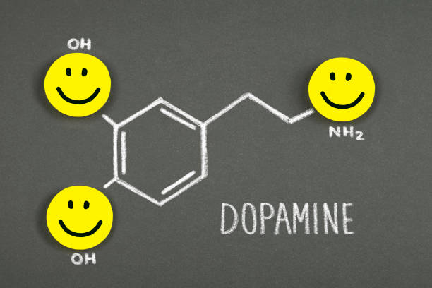 Dopamine Blackboard with the chemical formula of dopamine dopamine stock pictures, royalty-free photos & images