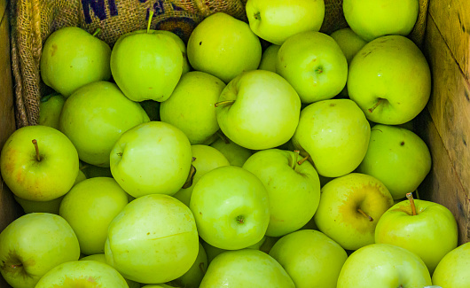 A crate of little green honey gold  apples at a Cape Cod farmers market