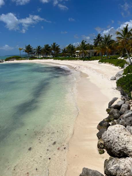 istock Punta Cana Dominican Republic 1387152620