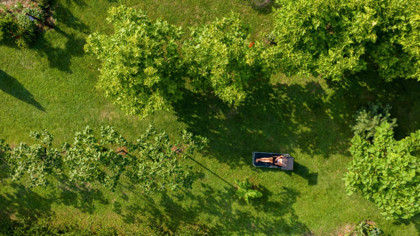 istock Young woman wearing bikini and using laptop while relaxing and sunbathing on sunbed in backyard 1387155672