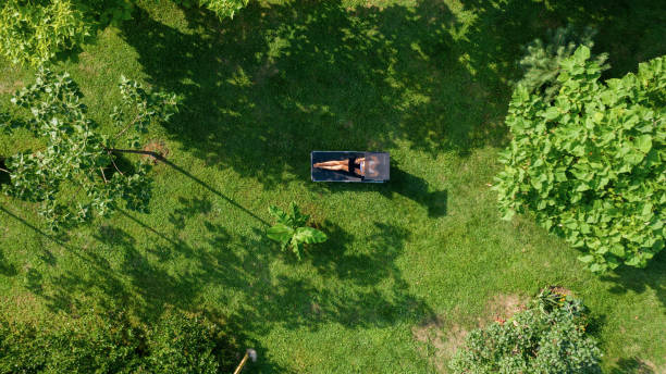 istock Young woman wearing bikini and using laptop while relaxing and sunbathing on sunbed in backyard 1387155701