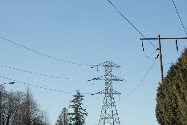 istock Electricity Pylon in British Columbia, Canada 1387160376