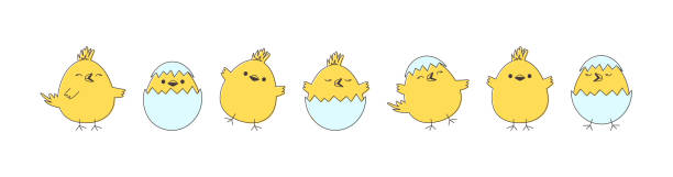 ilustrações, clipart, desenhos animados e ícones de vetor de páscoa, bebê e ovo de galinha, passarinho fofo, conjunto de animais amarelos engraçados. ilustração de desenho simples - young bird chicken bird cut out