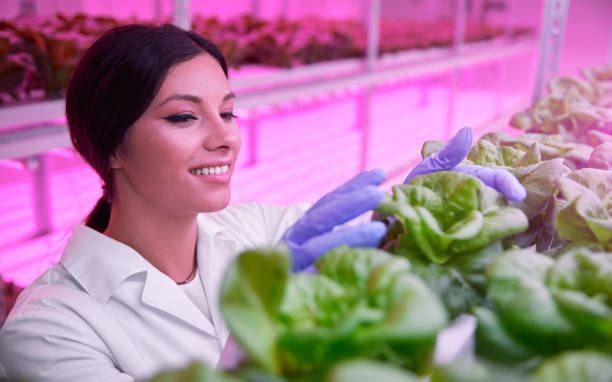 istock Scientist working in agricultural lab 1387172377