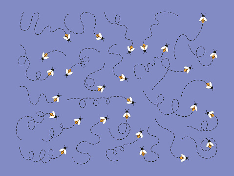 Bee Finding Direction Bumble Bee Flight Path Vector Set Direction Of The Insect Dotted Line ...