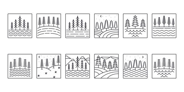 illustrazioni stock, clip art, cartoni animati e icone di tendenza di insieme di vettoriale pini albero linea icona simbolo illustrazione disegno, collezione di pino linea di arte stile - lumber industry forest tree pine