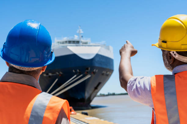 istock Male transportation manager and dock worker discussing while pointing at ship 1387193463