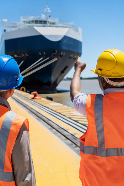 istock Male transportation manager and dock worker discussing while pointing at ship 1387193465