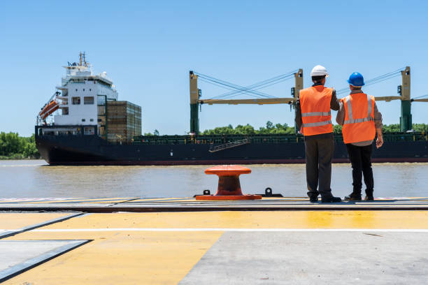 istock Male cargo handler and customs broker looking at cargo ship 1387194130