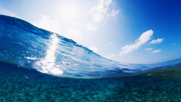 istock Ocean wave breaks over the reef in Maldives 1387199780