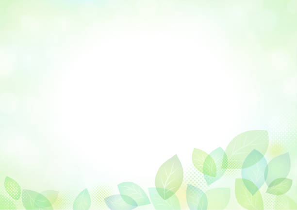 4,600+ Green Leaf Pattern Illustrations, Royalty-Free Vector Graphics &  Clip Art - iStock | Green leaf pattern background