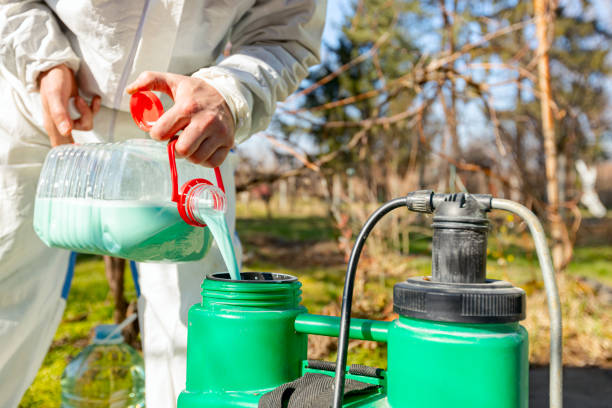 gardener is blending substance with water in proper scale for sprinkles fruit trees - backpack one mature man only only mature men one man only imagens e fotografias de stock