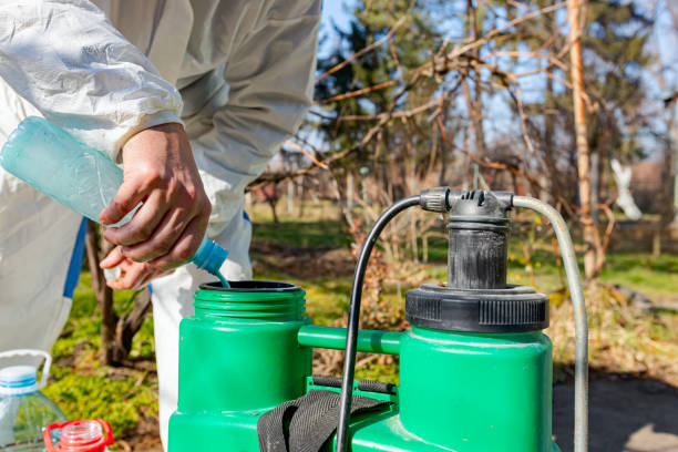 Gardener is blending substance with water in proper scale for sprinkles fruit trees Farmer is preparing mixture of water and botanical solutions of pesticide in plastic knapsack sprayer to spray fruit trees in orchard to protect them with chemicals from fungal disease or vermin. apply fertilizer stock pictures, royalty-free photos & images