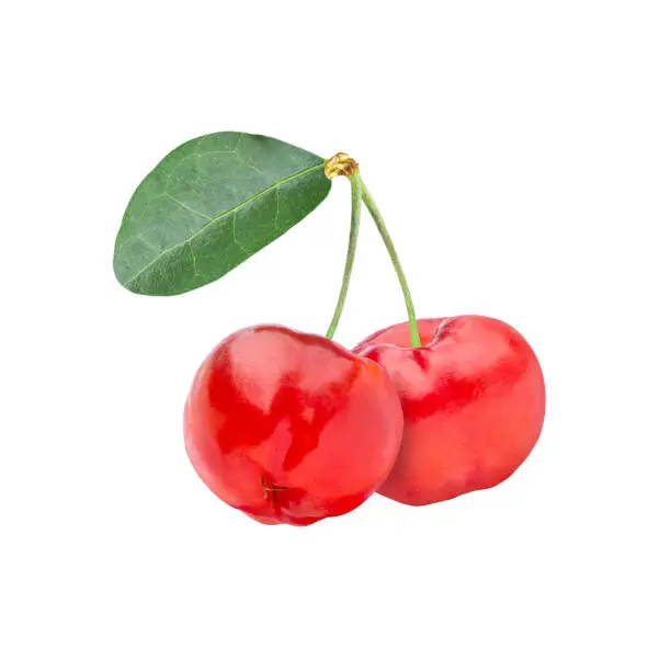 Photo of acerola cherry