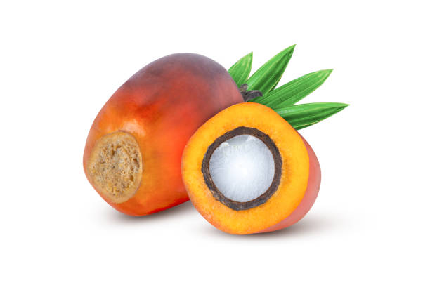 istock Oil palm fruit isolated on white 1387217289