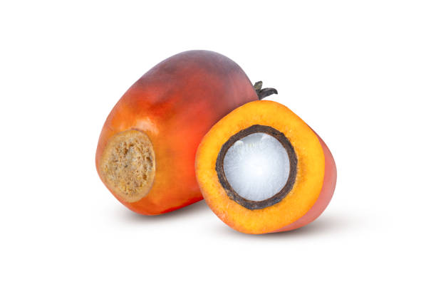 istock Oil palm fruit isolated on white 1387217498