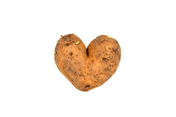 istock Heart shaped potato isolated on white background 1387218435