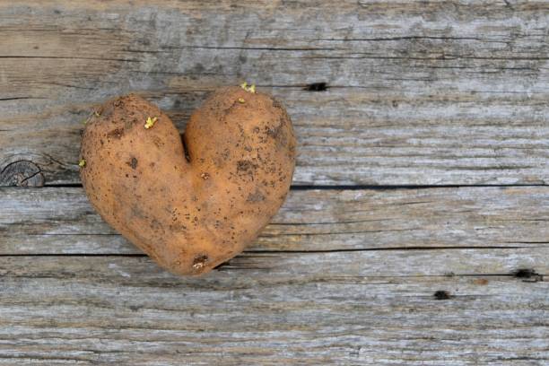 istock Heart-shaped potato on a weathered wood 1387218442