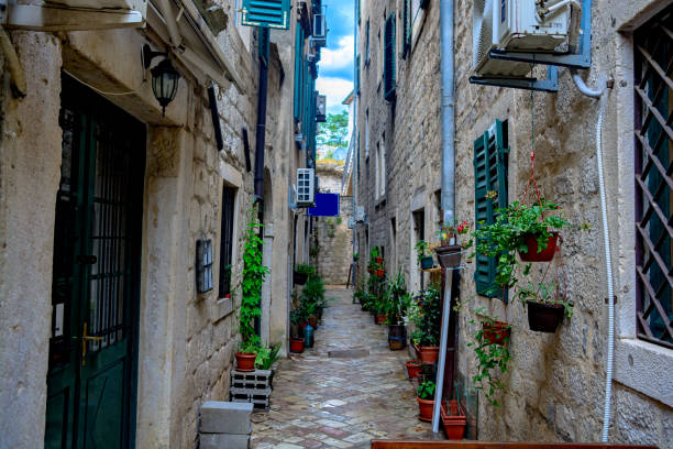 Green plants in the old city on the street Green plants in the old city on the street. narrow streets stock pictures, royalty-free photos & images