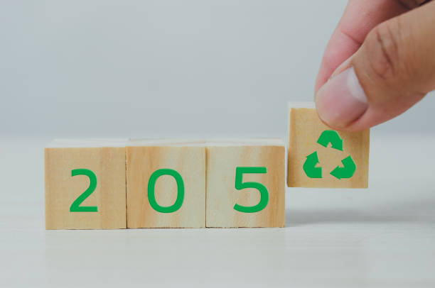 istock Wooden cube with 2050 net zero and carbon neutral concept. 1387224336