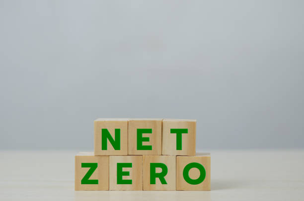 istock wooden cube block net zero business Concept. 1387224337