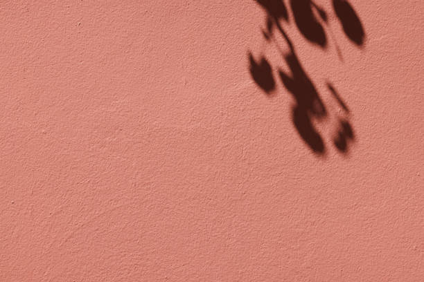 istock Part of a clean peach colored concrete wall with shadows 1387227255