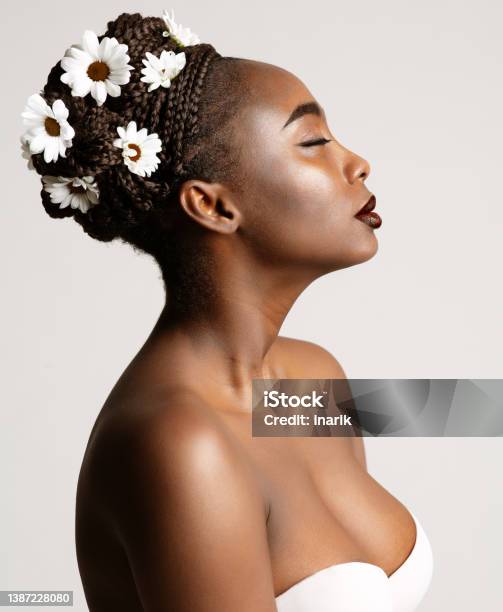 Beauty Profile Of African American Woman With White Chamomile Flowers In Black Hair Braids Fashion Portrait Of Dark Skin Model Over White Wedding Make Up And Bride Cornrows Hairstyle Stock Photo - Download Image Now
