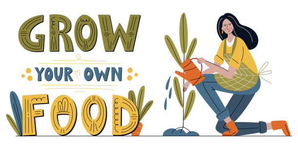 Grow your own food hand drawn poster with young woman watering a plant. Motivational phrase, hand lettered quote. Spring gardening or farming concept, hobby garden work. Flat vector illustration Grow your own food hand drawn poster with young woman watering a plant. Motivational phrase, hand lettered quote. Spring gardening or farming concept, hobby garden work. Flat vector illustration. community garden sign stock illustrations