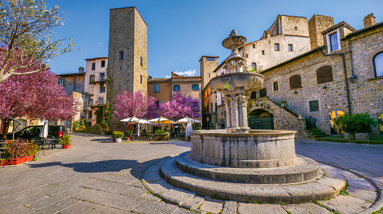The flowering trees create a suggestive and idyllic view of Piazza del Gesù, in the medieval heart of the ancient city of Viterbo, in central Italy. The medieval center of Viterbo, the largest in Europe with countless historic buildings, churches and villages, stands on the route of the ancient Via Francigena (French Route) which in medieval times connected the regions of France to Rome, up to the commercial ports of Puglia, in southern Italy, to reach the Holy Land through the Mediterranean. Located about 100 kilometers north of Rome along the current route of the Via Cassia, Viterbo is also known as the city of the Popes, because in the 13th century it was the Papal See for 24 years. Super wide angle image in high definition format.