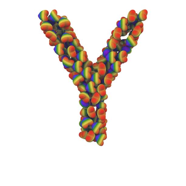 istock Rainbow Love Hearts Font Letter Y 1387246951