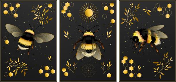 Set of bumblebee vector drawing in gold colors. Highly detailed vector hand drawn illustration. Bohemian style. bee costume stock illustrations