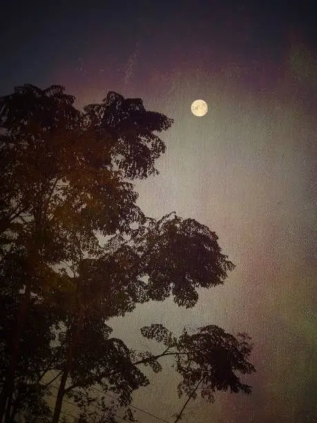 Photo of Painterly looking full moon