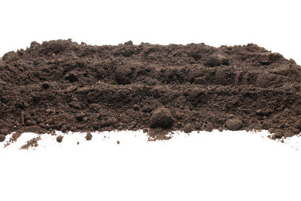 istock Black land for plant isolated on white background. 1387250005