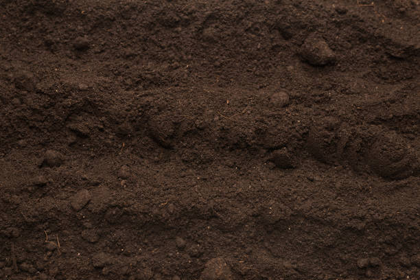 istock Black land for plant background. Top view. 1387250014