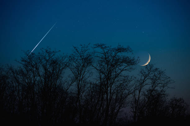 istock Crescent Moon with stars, planets and tree silhouettes on evening sky. 1387251437