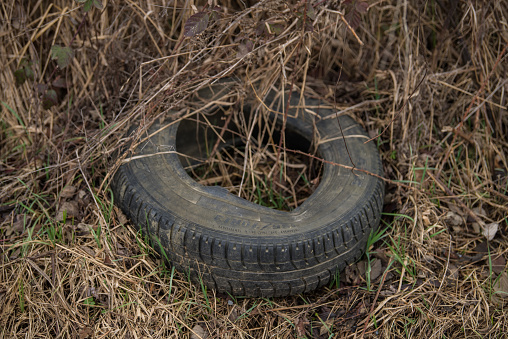 Old used rubber car tire discarded on raw forest ecosystem,environmental pollution.