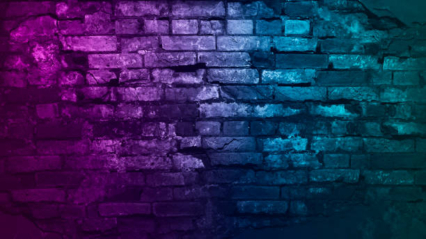 Toned purple blue green brick wall surface. neon effect. Colorful rough background with space for design. Toned purple blue green brick wall surface. neon effect. Colorful rough background with space for design. Web banner. Grunge backdrop. fuchsia flower photos stock pictures, royalty-free photos & images