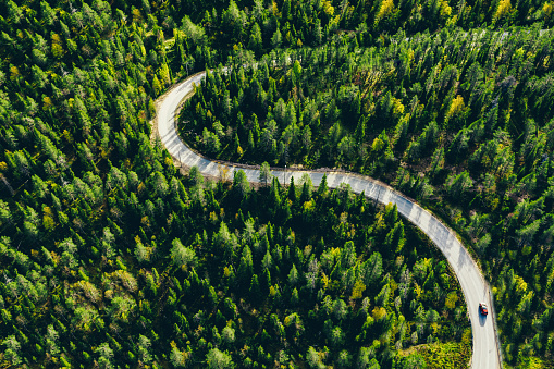 Aerial view of winding forest road with red car in summer Finland