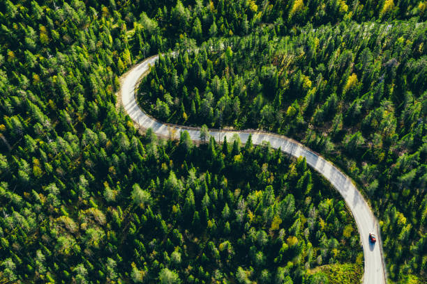 Aerial view of winding forest road in summer Finland stock photo
