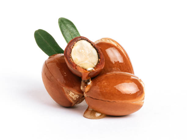 istock Three argan nuts with green leaves on an isolated white background. Chopped argan nut with a drop of oil. Whole and half Moroccan Argania Spinosa seeds for the production of oil 1387260282
