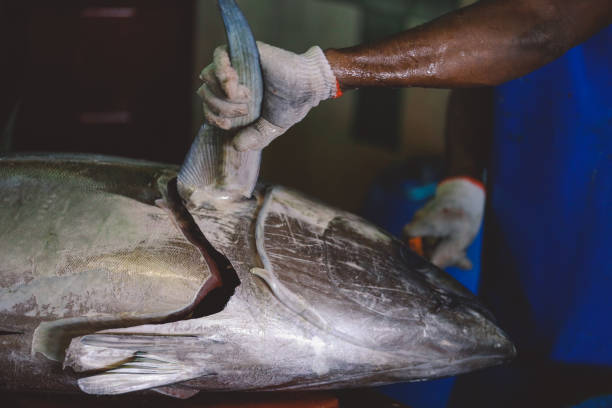 Big Fish on the Central Market of Male City Local Maldivian Fisherman butcher a Big Fish on the Central Market of Male City maldives fish market photos stock pictures, royalty-free photos & images