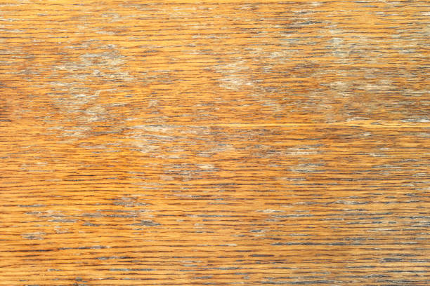 Natural wood texture with natural pattern and cracked surface. Background for design. Top view, there is space for text