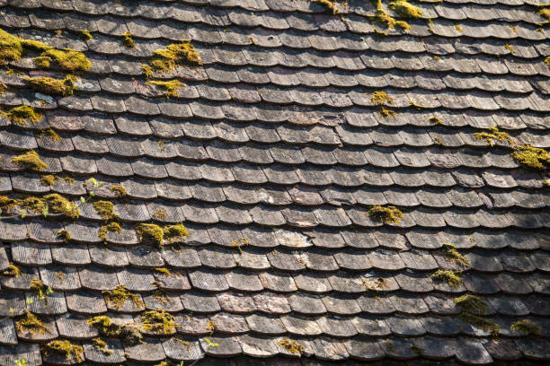 istock Ruined tiles on the old house. 1387265114