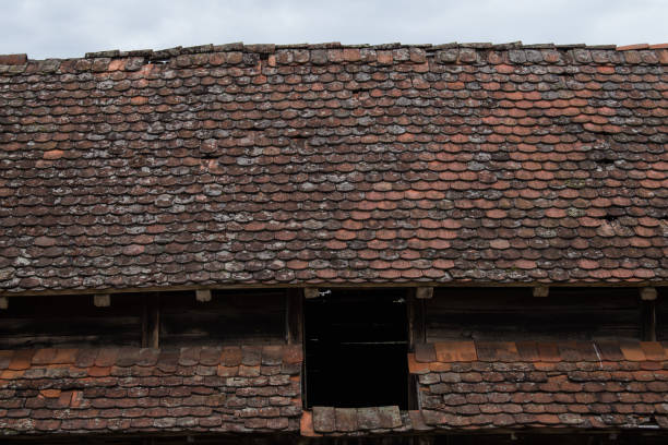 Ruined tiles on the old house.
