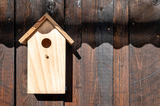 nesting box for birds on wooden wall